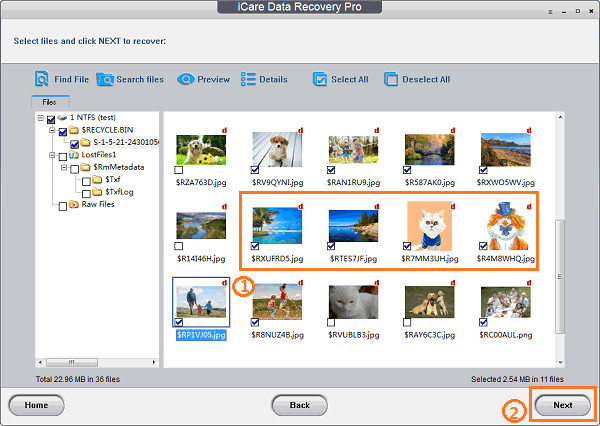 Limited time get Data Recovery Software iCare Format Recovery Pro for free[Windows][$10.00 -> Free]
