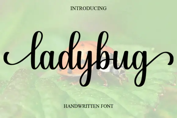 Font Ladybug — Free Giveaway (Worth $14.00)
