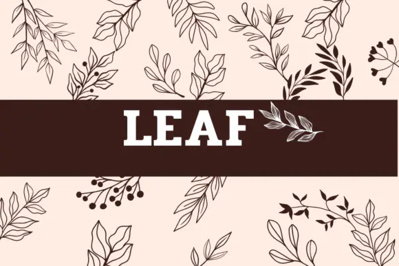 Limited time get Font Leaf for free[Windows, macOS][$40.00 -> Free]