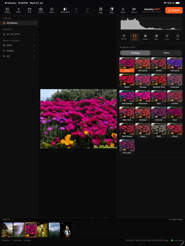 Henshu Edit — Free Giveaway (Worth $32.57)
