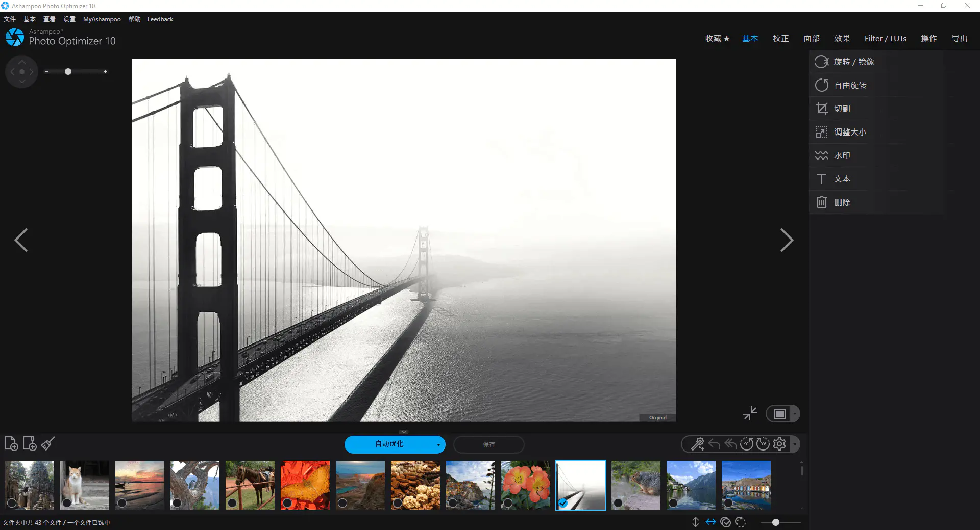 Ashampoo Photo Optimizer 10 — Free Giveaway (Worth $39.99)